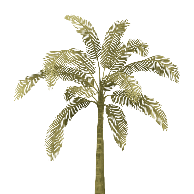 Crema Calmante Corporal - OLT 1911